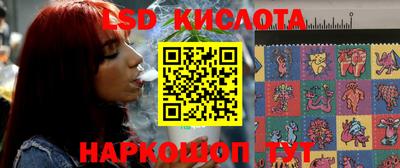 индика Моздок