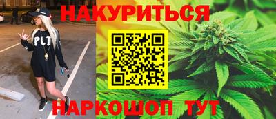 индика Моздок