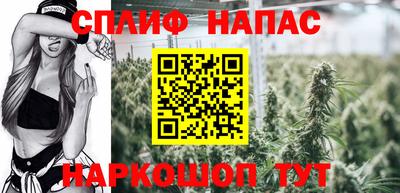 индика Моздок
