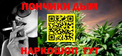 индика Моздок