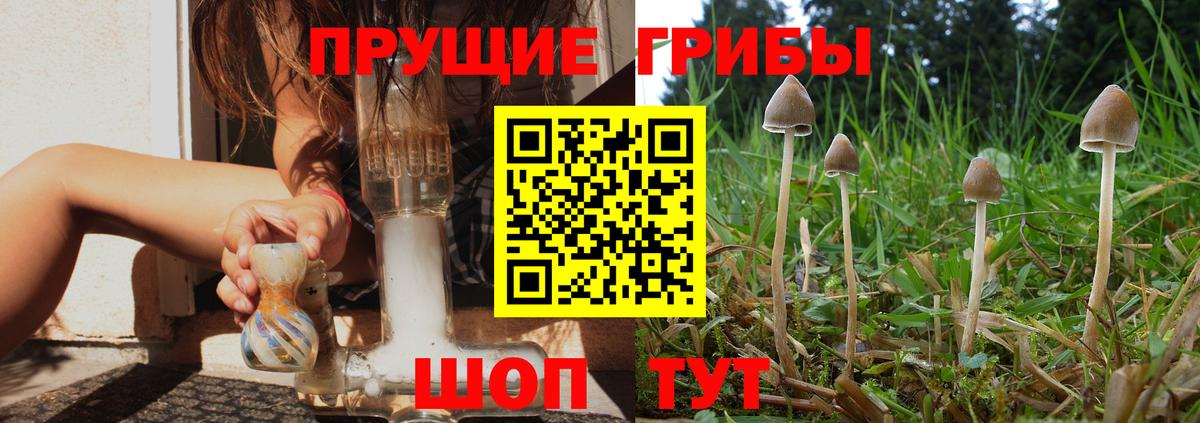 Псилоцибиновые грибы прущие грибы Десногорск